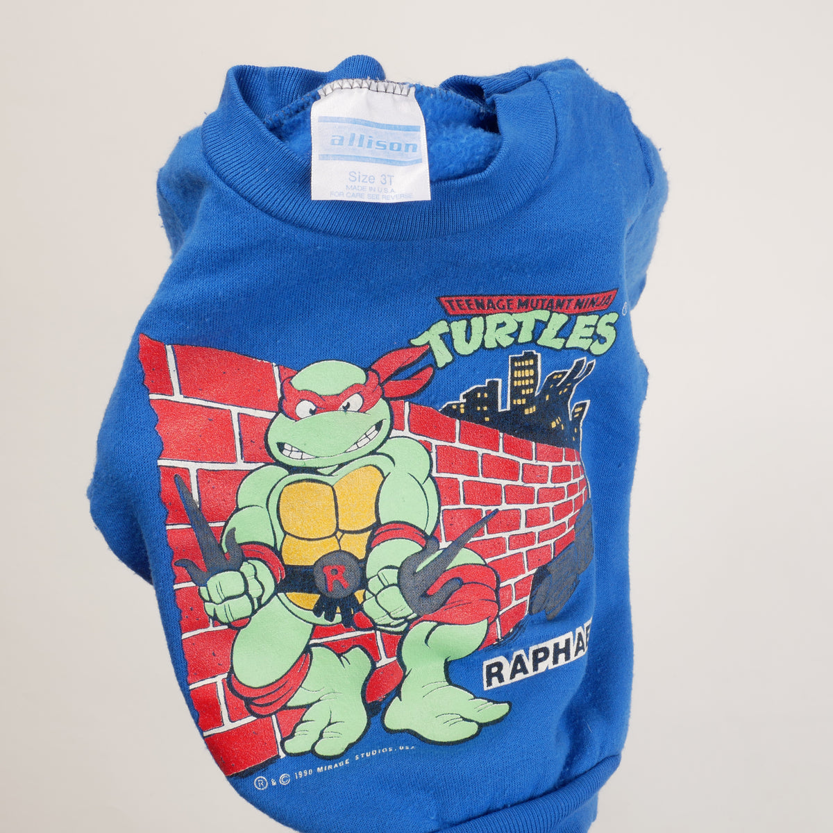 Vintage Teenage Mutant Ninja Turtles Kid's Sweatshirt - 3T