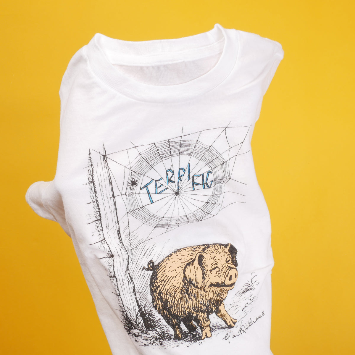 Charlotte's Web Kids T-Shirt - YM