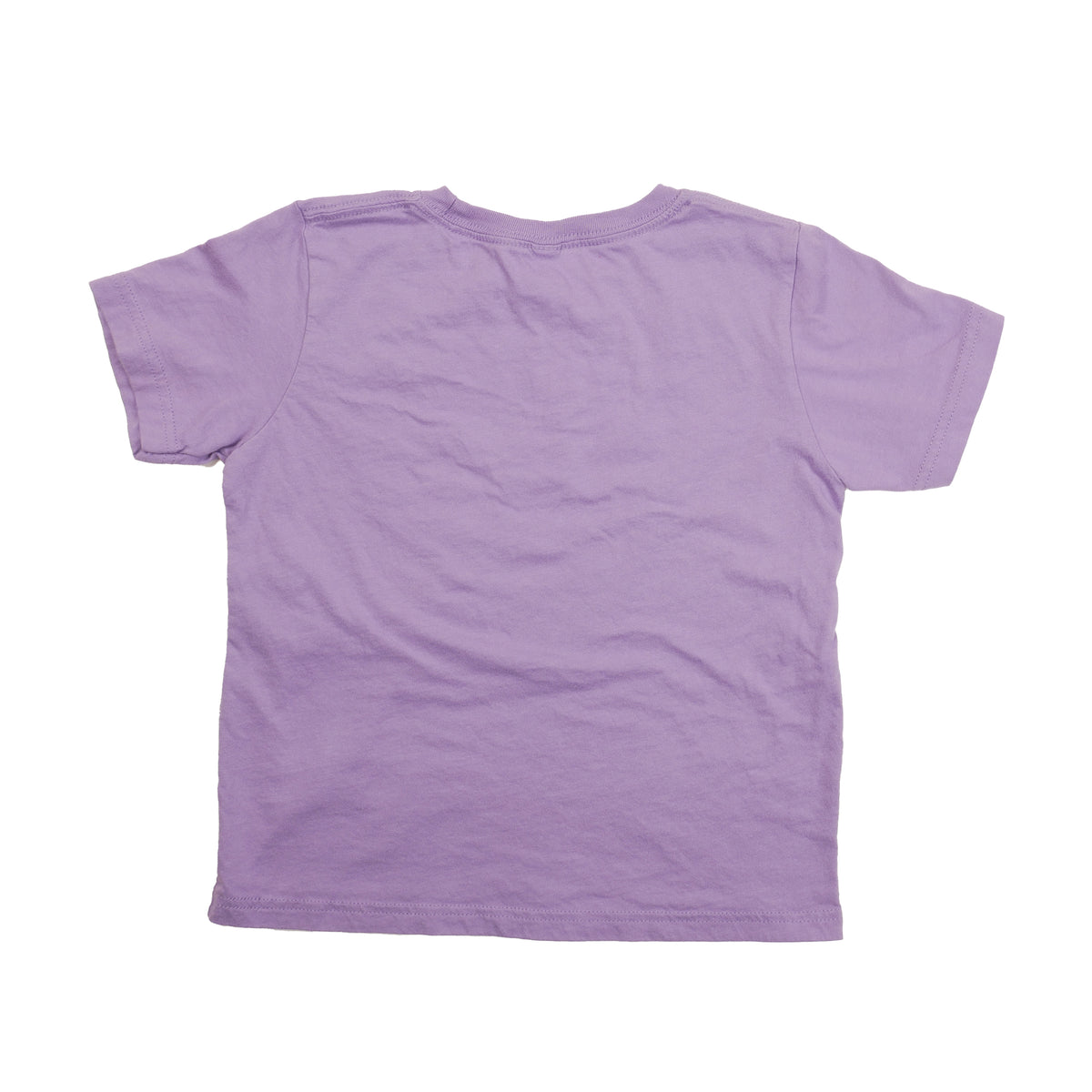 Deftones White Pony Kids T-Shirt - YXS