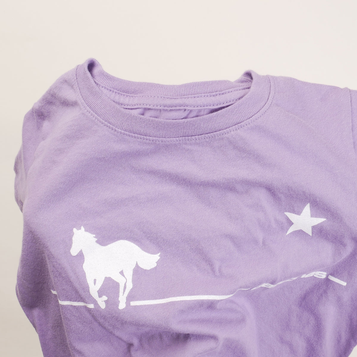 Deftones White Pony Kids T-Shirt - YXS