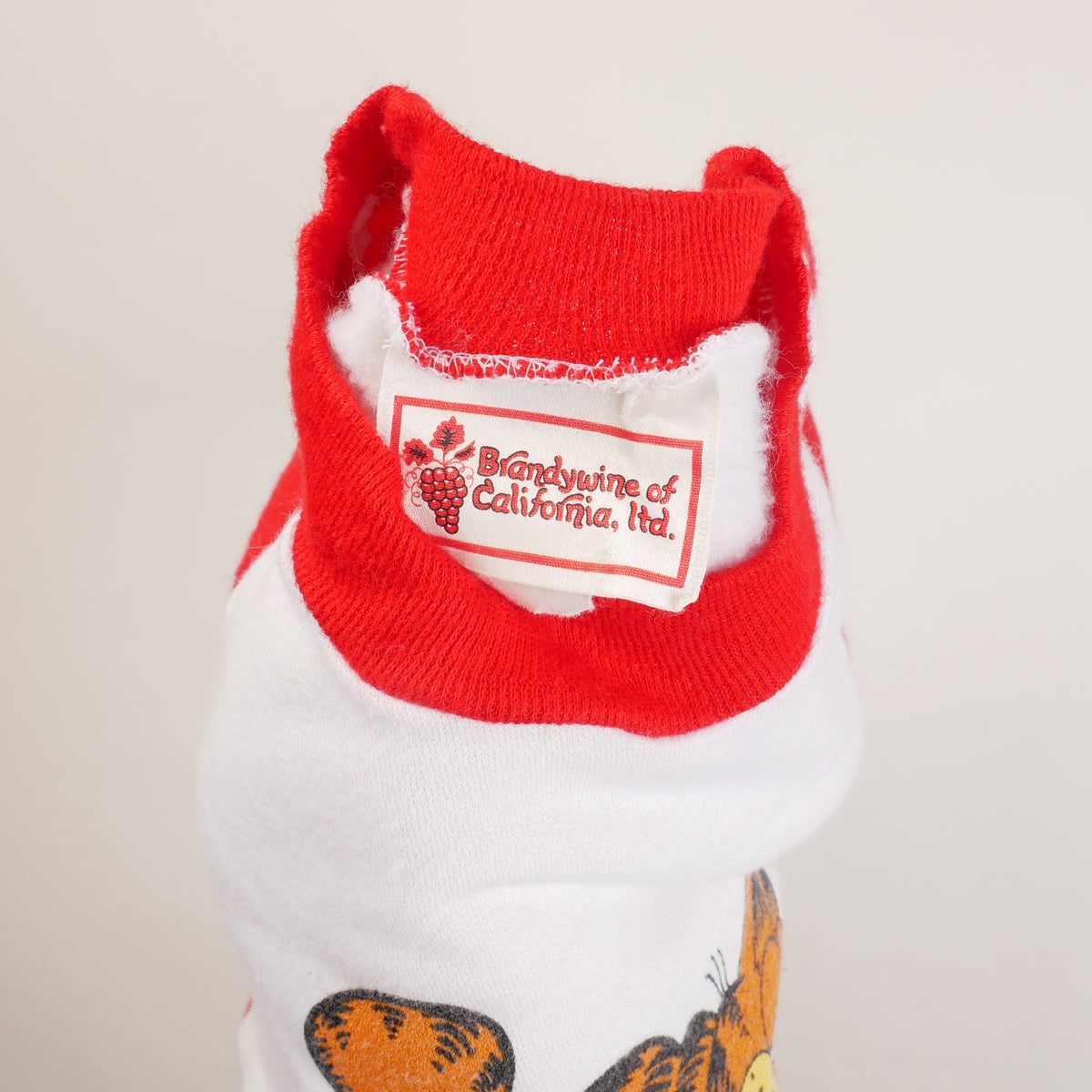 Vintage Garfield Raglan Sweatshirt - YM